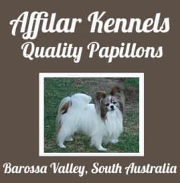 Advertisement