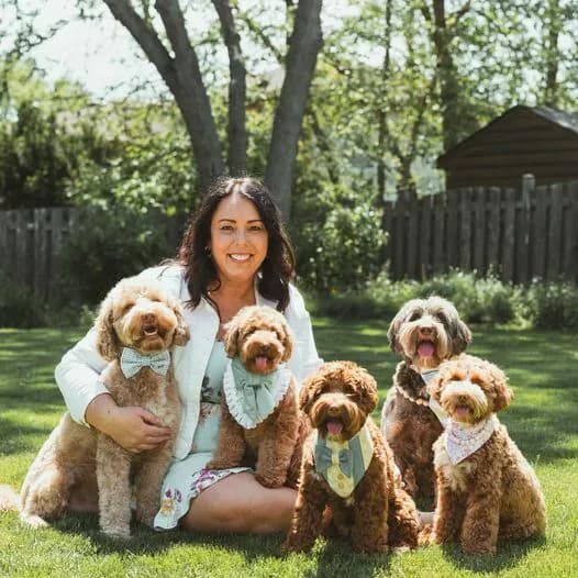 Australian Labradoodle